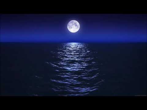 Sacred Earth: Wisdom Speaks