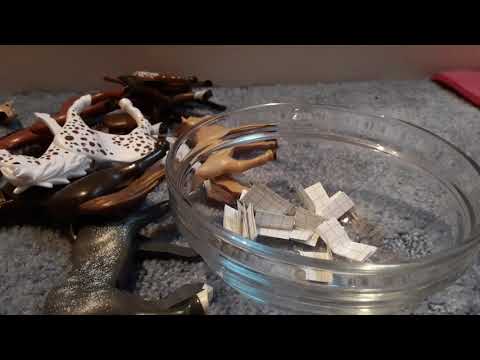 Pferd ab in deine Box mit Zettel ziehen / Playmobil Reiterhof