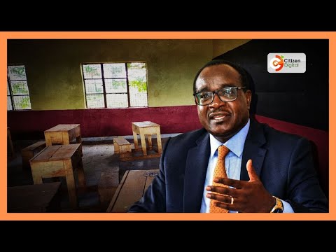 Wizara ya Elimu yasitisha mgao wa karo kwa shule 29, uchunguzi wabaini uhalali wao