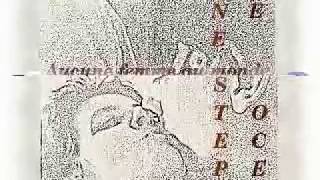 everybody hurts - Tina Arena feat. Steven Ocean