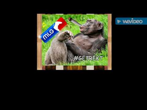 Drunkey monkey/failure#2