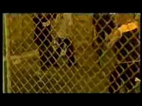 2002 J.F. feat. Electric Force Crew "DEIN ZIEL"