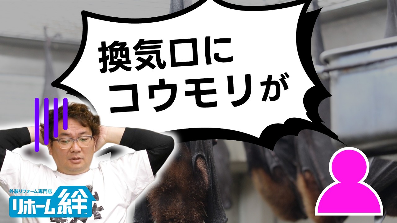 「換気口にコウモリが何匹も...」等のコメントに、木村社長がお返事します！【外壁塗装 / リフォーム】