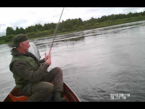 Tornionjoki. Tuplatärppi!