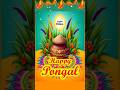 Happy Pongal Whatsapp Status Pongal Whatsapp Status Happy Pongal Status 2026 Happy Pongal 2026