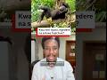Nyani Sokwe Tumbili Hujichua
