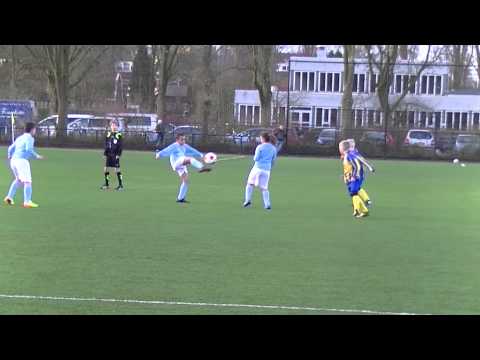 Samenvatting Hillegersberg E9 - Hermes DVS E5