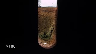 CuCl2 + Fe (copper(II) chloride + iron)