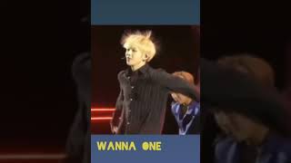 Download lagu Electric kang Daniel, Jihoon and Sungwoon laught at him #wannaone #kang Daniel mp3