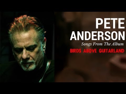 Pete Anderson - For You