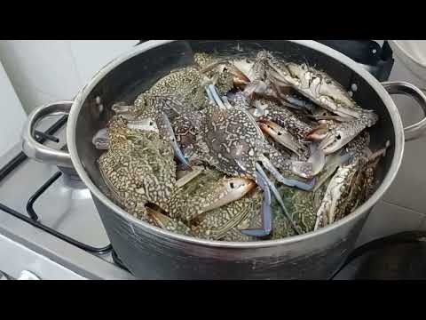 cooking blue crabs |  @jan4ninemixvlog