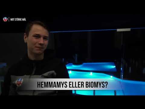 Antingen eller - Med Alex Timossi