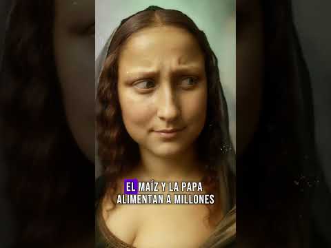 ¿Y si China hubiera descubierto América antes que Colón?