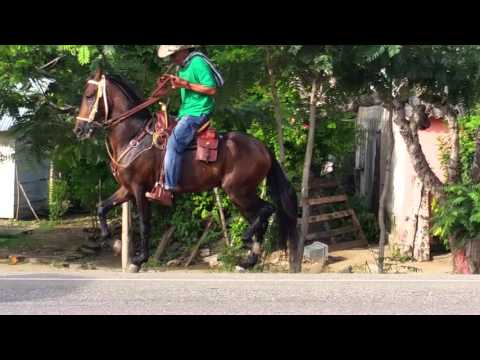 ALMIRANTE DEL LIMON 201506200 162753