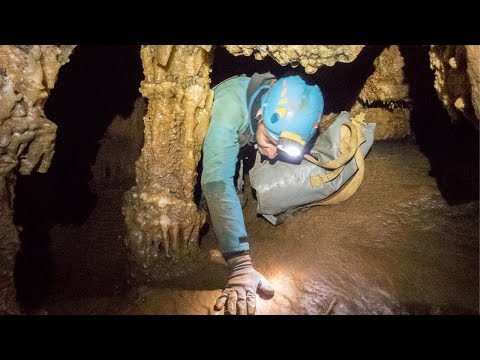 Igue du facteur dans le Lot (46)