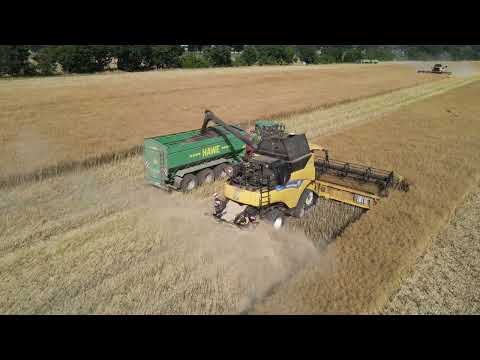 2x New Holland 8.80, John Deere 8370 R, Hawe Rapsernte 2023 / canola harvest