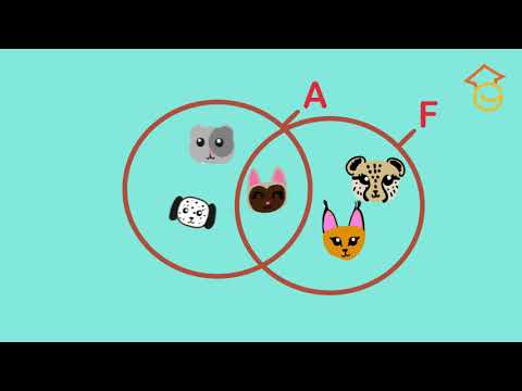 CONJUNTOS PARA NIÑOS DE PRIMARIA. DIAGRAMA DE VENN FÁCIL. Aprende a hacer conjuntos.