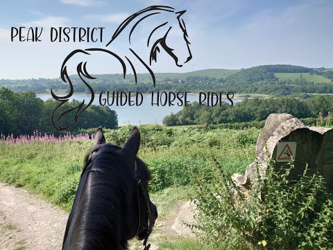 Play Video Youtube Video