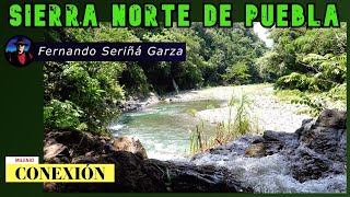 La Sierra Norte de Puebla