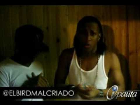 WARIO & EL BIRD - LOS INDESTRUCTIBLES 'THE MIXTAPE' ( 03 / 14 / 2011 )