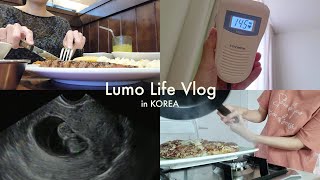 [임밍아웃] 私、妊娠しました！ / 韓国で猫と暮らす日本人主婦の妊婦生活vlog [한일부부]