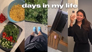 days in my life | working from home, balancing youtube & new hobbies