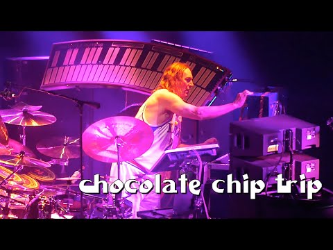 TOOL - Chocolate Chip Trip - Live (Fear Inoculum Tour 2019 / HD / close drum kit mics)
