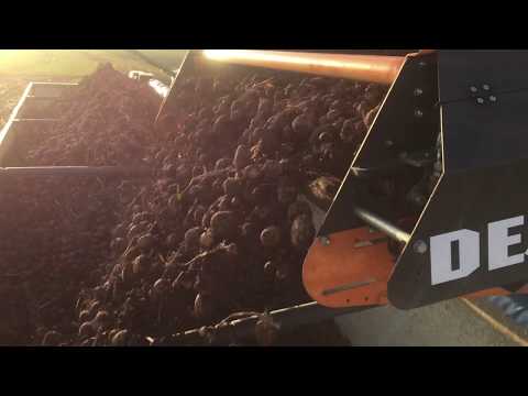 Dezeure Turboclean, Überladen von Kartoffeln