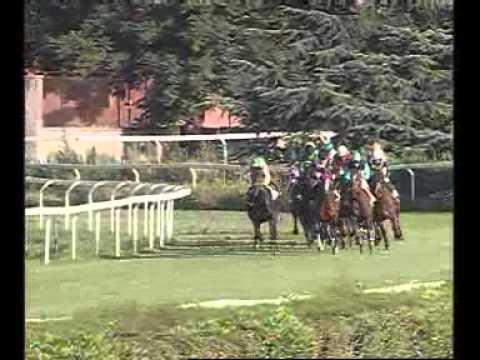 Premio Archidamia-Mem. Manuela Tudini 2010 (LISTED RACE)