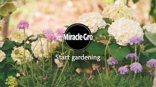 Miracle-Gro Joy of Gardening (2026)