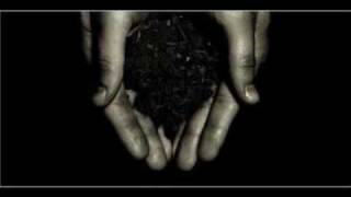 The Colour- Just A Taste