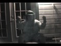 Werdna Doing The Oochie Wally Wally