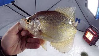 HOT CRAPPIE BITE! Ice Fishing Before a BLIZZARD!