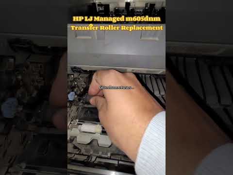 Transfer Roller