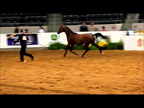 U.S. Nationals 2014: Day Five