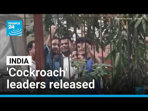 Protesters seeking India election chief's ouster detained, as 'cockroach' leaders released