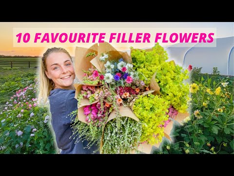 image-Are roses filler flowers?