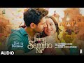 Bhool Bhulaiyaa 3 Jaana Samjho Na Audio Kartik Aaryan Triptii Aditya R Tulsi K Lijo DJ Chetas