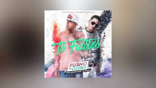 Pusho   Te Fuistes AUDIO ft  Ozuna