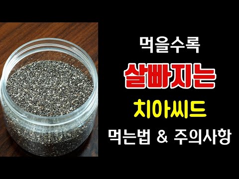 뱃살 쏙 빠지는 치아씨드 먹는법, 주의사항, 레시피 총정리!