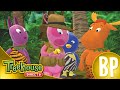 Os Backyardigans O Coraçào Da Floresta Ep 2