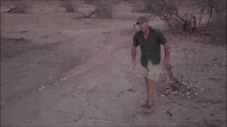 Safari Live : James draws us a new Hippo in the sand  Sept 08, 2016