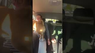 KUNG FU DOGE (WATCH OUT! DEADLY BACK KICK ☠) #SHORTS