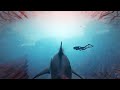 Awesome Shark Simulator on PC ! Game Maneater 2022
