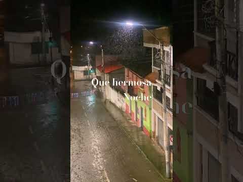 Noche lluviosa ( Sigchos) #music #reggae #travel #cotopaxi #ecuador  #nature #tree #night #rain