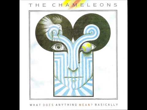 THE CHAMELEONS - What Does Anything Mean? Basically (Full Album)