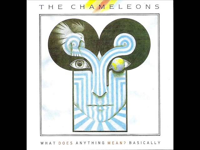 The Chameleons - What Does Anything Mean Basically