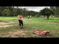 Operation Tactical Hypertrophy—Week 1