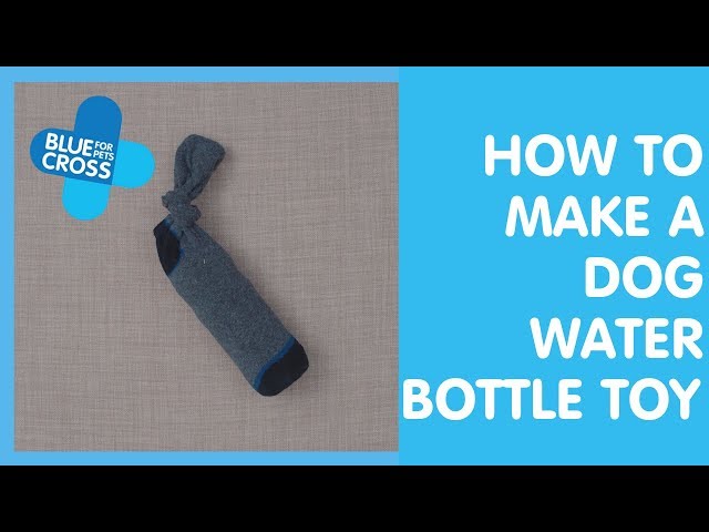 Pet-iks lang: Easy DIY pet toys you can make at home