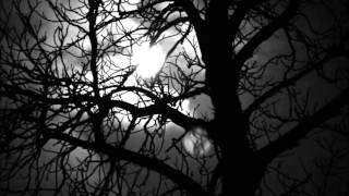 20121201 Zie de maan schijnt door de bomen   piano